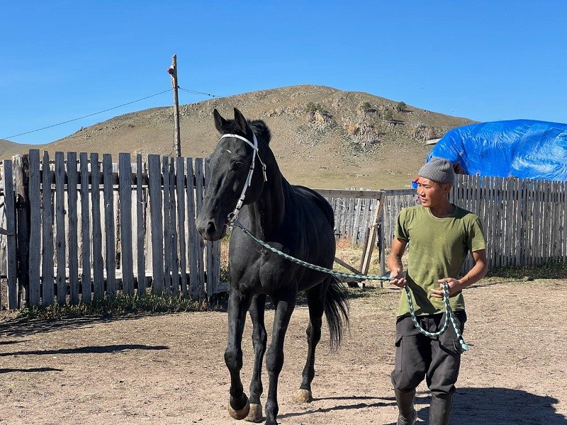 koni rosselkhoz