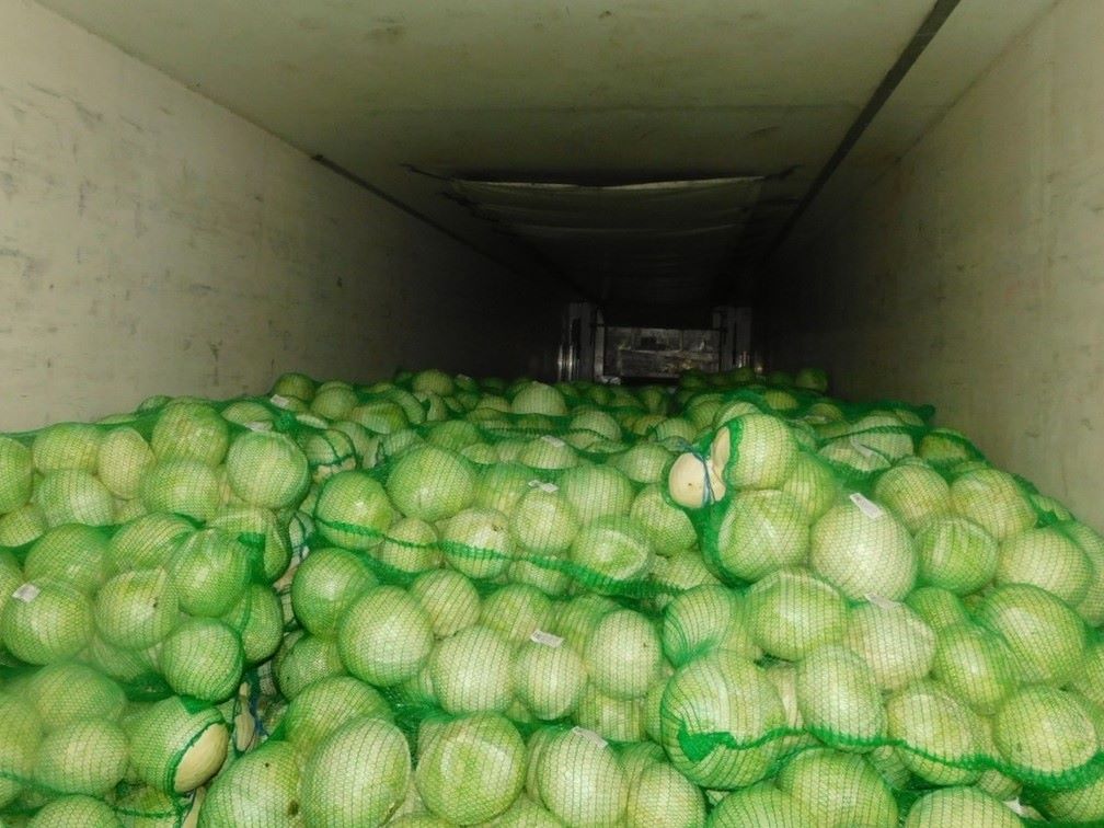 В Бурятии установлено нарушение при ввозе 20 тонн белокочанной капусты